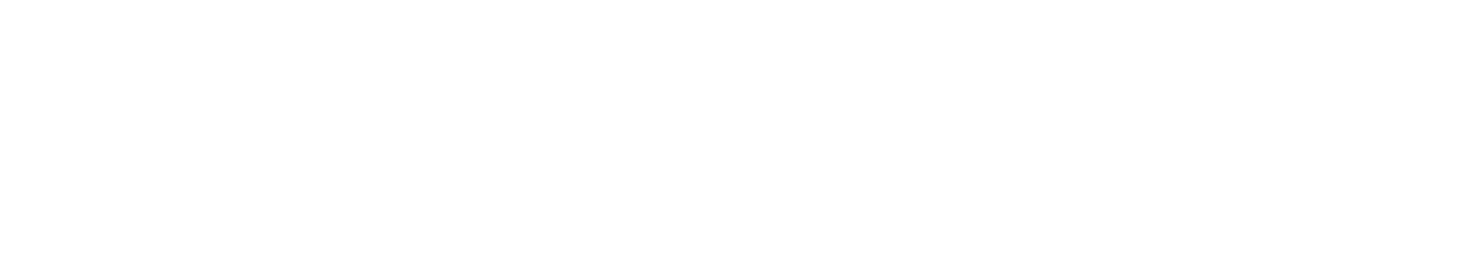 ONLINE STORE NOW